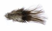 Coq De Leon Feathers